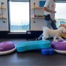 독앤트리 이미지