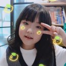 별나무 이미지