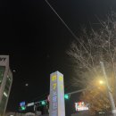 드림상회 | [서울 노량진동] 노량진 수산시장 대방어 맛집 “형제 상회” 방문 후기