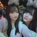 코코네 이미지