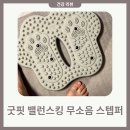 주식회사 케어핏 | 무소음 스텝퍼 굿핏 밸런스킹 소음없는 지압 가정용 에어스텝퍼