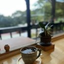 싱그러운청도로(가을) | [청도카페 대추차맛집] 카페 &#34;헐티재가는길&#34; 청도...필수 코스!인생 대추차와 힐링 뷰맛집 솔직 후기!