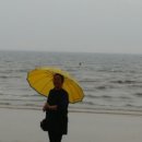 솔밭팬션 이미지