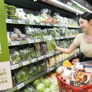 고려익스프레스 이미지