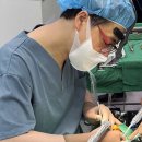 장치과기공소 | 아산치과 야간진료, 노랗고, 하얗고 영구치아와 최대한 비슷한 크라운 치료! 뭐가 중요할까요?