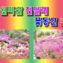 배영곡 이미지