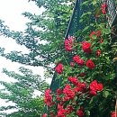 남문초등학교 이미지