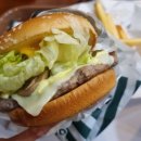 뉴욕버거터미널점 이미지