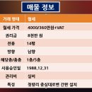 파크사랑부동산 공인중개사사무소 이미지