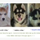 여주-0909 이미지