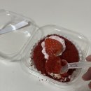 명동역 남산 파리바게트 | 파리바게트 베리밤 요거크림볼 🍓 내돈내산 솔직후기