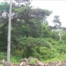 길직2리 마을회관 이미지