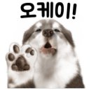 스페이스디엠 이미지