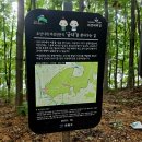 조선시대 여성전문직 " 궁녀"를 찾아가다 이미지