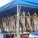 중앙5길 | 거제 외포횟집 추천｜외포중앙횟집 대구A코스 후기, 매미성 근처 대구거리 맛집