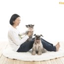 스튜디오키스 이미지