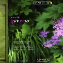 사진전시회 이미지