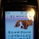 (유)아이비 이미지