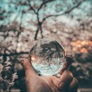 쉽게 배우는 사주명리학(기초) (야간) | 2025 초보 입문 로드맵, 사주포럼 활용법 가이드