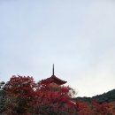 교토 여행(11.25~27) 청수사, 에이칸도 단풍 및 간사이 공항 입출국 후기(3시간 걸려요)