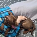 (주)카이 이미지