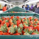 임실군조합공동사업법인 이미지