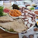 문어시대 이미지