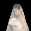 모스앤코튼 스튜디오 블랙 배경 웨딩 촬영 후기 + 5만원 할인 코드