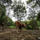 사봉면-12 이미지