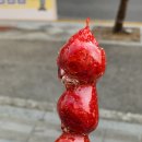 탕후루와꼬치 이미지