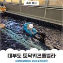 토닥키즈풀빌라 | 대부도 대형 키즈 풀빌라 토닥키즈풀빌라