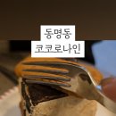 코코로나인 이미지