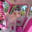 충북자동차공업사 이미지