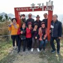 제주미소투어
