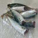 유가네대구월성점 | 10월 일상 - 5