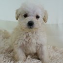 수원-1584 이미지