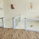 댕댕이샾 이미지