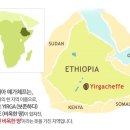 커피여왕 이미지