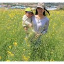 안하농장 이미지