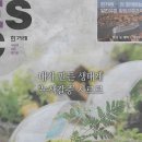 내가만든나라 이미지