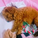 (주)태화강참숯가마 이미지