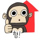 통달배 이미지
