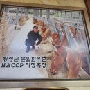문일목장 네이버블로그