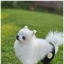 주식회사 카브 이미지