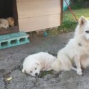 일출언덕신산게스트하우스 이미지