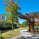 서운초교병설유치원 이미지