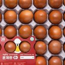 계림농장 이미지