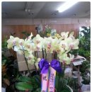 한일종합상사 이미지