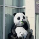 하성축산 이미지