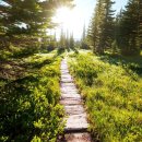 방콕/카오야이 3박5일😎 1,419,000부터~ 이미지